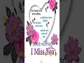 Good Morning Status Whatsapp Good Morning Status Sayari Goodmorning Whatsappstatus