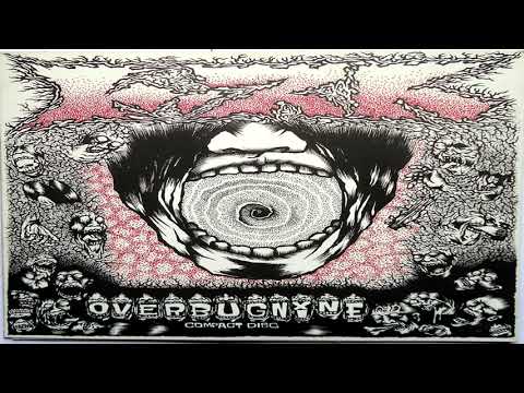 トースト ‎– Over Bug Nine (1995)