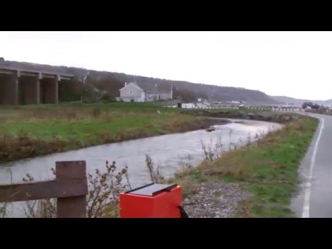Half an Hour at (168) - Llanddulas Viaduct 16.1.2016 - Abergele Colwyn Bay Class 175 221 trains
