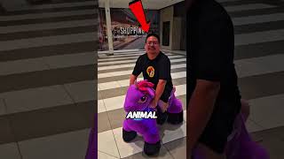 Download lagu She Turned Her Horse Into a Glitter Masterpiece… And Everyone Stared! 🏇🎠 mp3