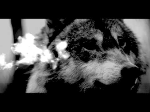 Silver Snakes - Red Wolf [Official Video]