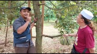Download lagu GUS IMAM MACHMUDI PEMILIK LAHAN 40 HEKTAR CALON KEBUN DURIAN mp3 Download lagu GUS IMAM MACHMUDI PEMILIK LAHAN 40 HEKTAR CALON KEBUN DURIAN mp3
