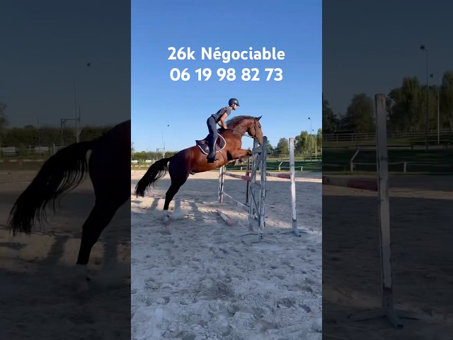 5 ans, Triple SF Fontainebleau 