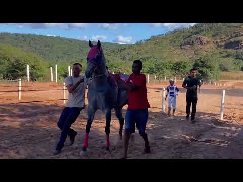 43* FESTA DO VAQUEIRO EM VÁRZEA GRANDE PIAUÍ 