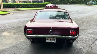  1964.5 Ford Mustang Coupe 289 Exterior Viewing