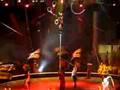 Ringling 1