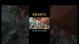 Download lagu CARA JITU BUAT BIBIT DURIAN MUSANGKING YANG CEPAT BERBUAH ' SUDAHKAH ANDA KUASAI ' #shorts #durian mp3 Download lagu CARA JITU BUAT BIBIT DURIAN MUSANGKING YANG CEPAT BERBUAH ' SUDAHKAH ANDA KUASAI ' #shorts #durian mp3