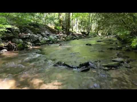 Chestnut Valley Farm   Intro Drone Video