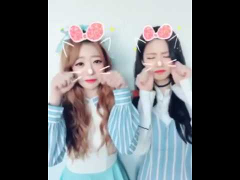 170226 Sumin & D.ana - Instagram Video