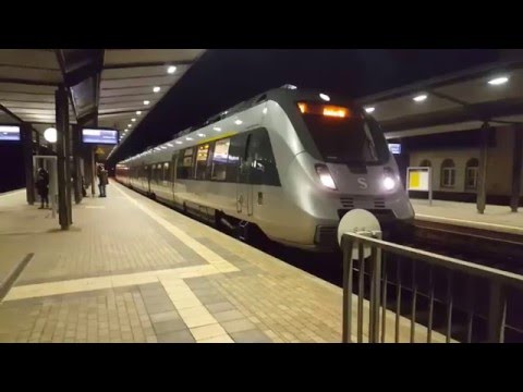 BR 442 (DB 1442 211) S5X nach Zwickau (S) Hbf. - Werdau