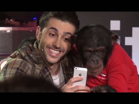 Vitamin Club 191 HD - Hyurer