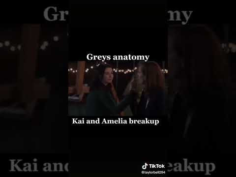 Amelia and Kai break up grey's anatomy