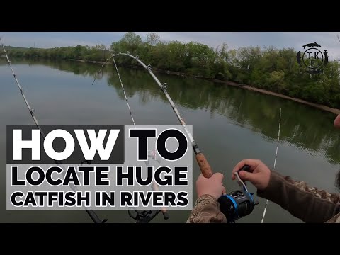 How to Catch Spring Time Catfish in River Systems
