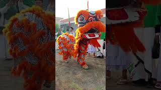 Download lagu Barongsai ikut serta Hari Santri Nasional mp3