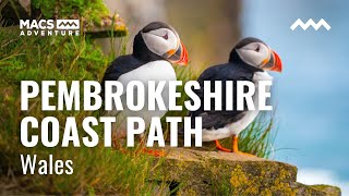 Walking the Pembrokeshire Coastal Path