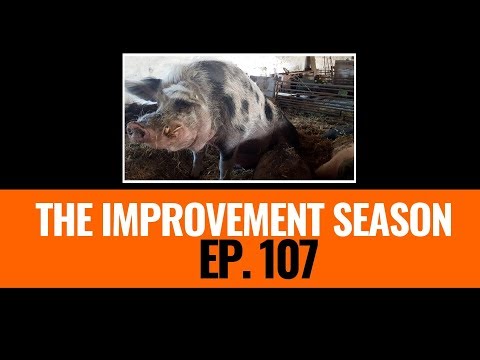 107: The Improvement Season - Carb tolerance a thing?