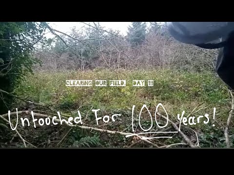 Clearing a Centuries worth of Bramble growth on our abandoned Garden! Offgrid Ireland
