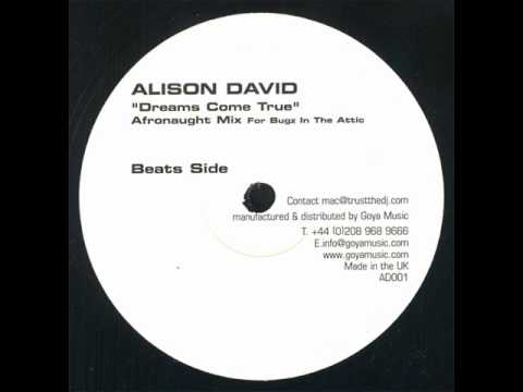 alison david -- dreams come true (afronaught beats)