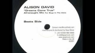 alison david -- dreams come true (afronaught beats)