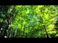 sereine.wmv