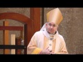 Homily: Fourth Sunday of Easter - Good Shepherd Sunday (4/29/2012)