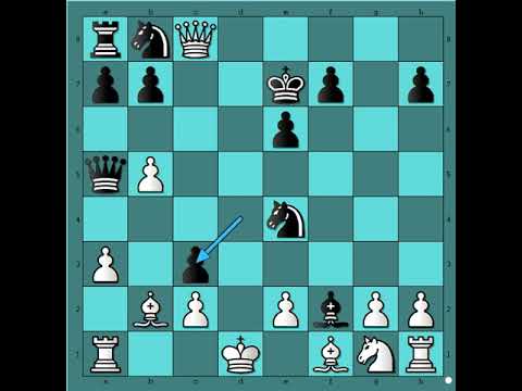 Besmrtna partija sa nevidjenim žrtvama figura i mat ‼️ FLEISSING vs SCHLECHTER # 2465