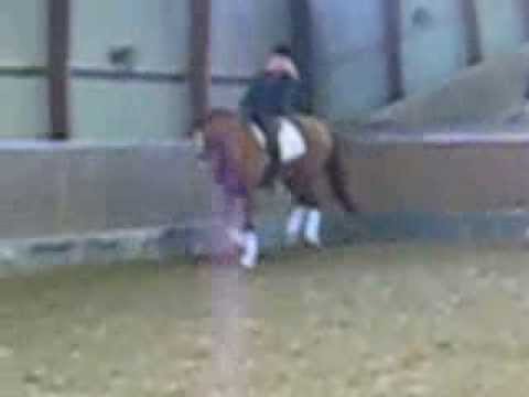 5års Quaterback - De Niro