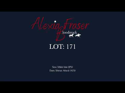 LOT 171- 2021 Gold Coast National Weanling Sale