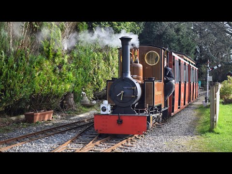 South Downs Light Railway 23rd February 2020