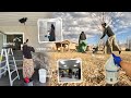 how to spring clean like a Hutterite...vlog 194