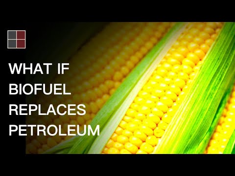 What if biofuel replace petroleum?