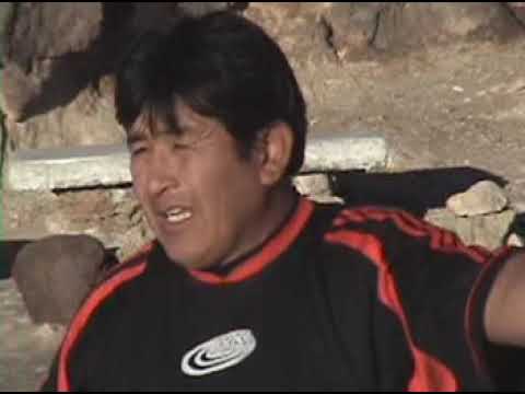 El Locutor - Amadeus
