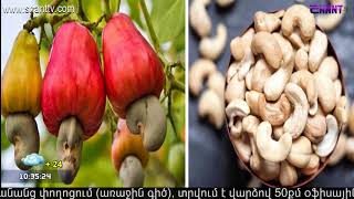 Առավոտը Շանթում/Aravot Shantum 17.06.2020