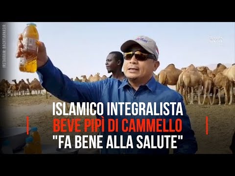 Controindicazioni di medicine da alcolismo Colm aiuta o no