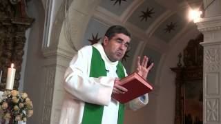 preview picture of video 'Homilia do XV Domingo do Tempo Comum pelo Padre julio Grangeia em Espinhel'