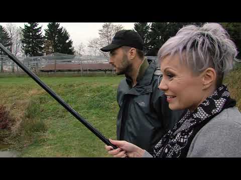 NAPOVEDNIK 4. ODDAJE GLASBENI PEČAT: Ansambel Opoj