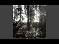 LO0K Super Slowed