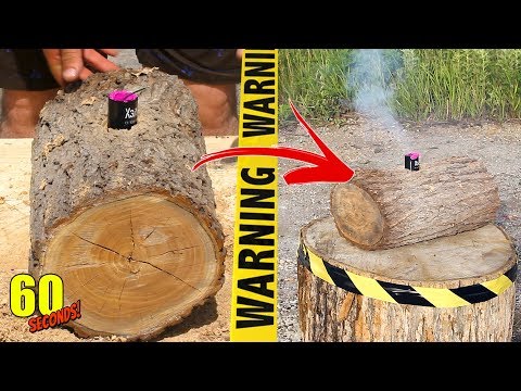 60 SECONDS Experiment - FIRECRACKERS | PETARD VS Wooden Stump | CRASH TEST