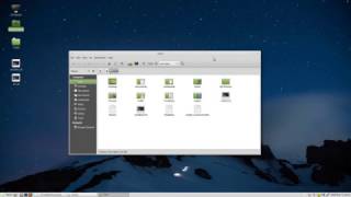 How to show hidden files, folders or directories in Linux Mint