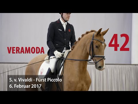 42 Veramoda Stute v. Vivaldi - Fürst Piccolo