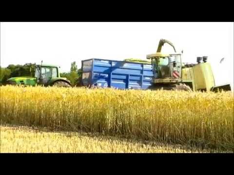 Krone Big X 850 Wholecrop 2014 (O Arnold Contracting)