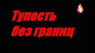 Тупость без границ