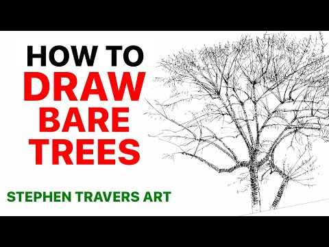 Drawing Winter Trees - Capturing the Effect of the Tree