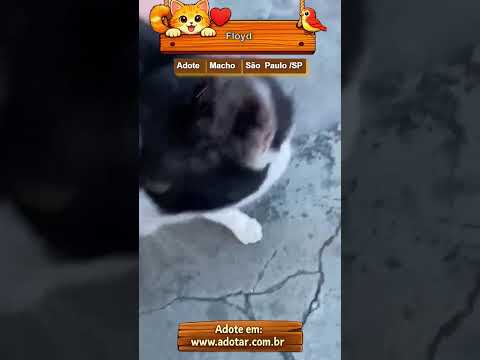 Vídeo de Floyd
