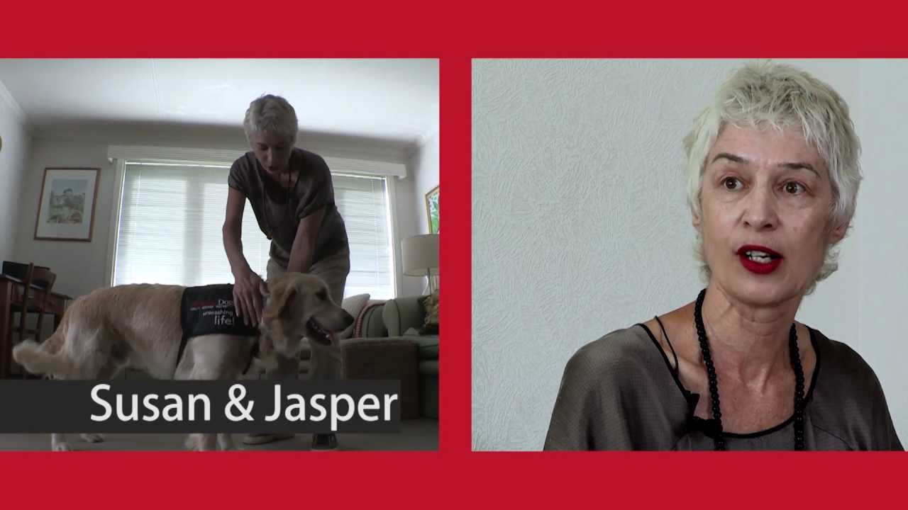 Mobility Dogs Overview