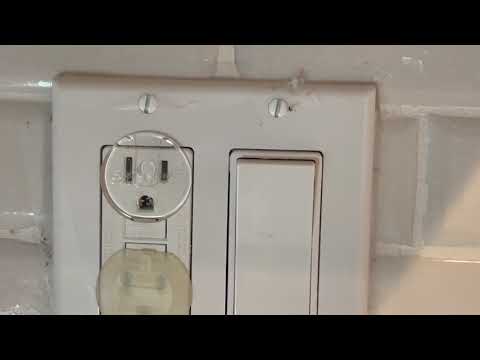 Ant Colony Found in the Switch Plate