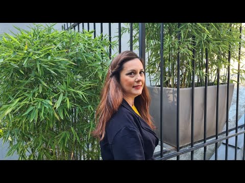 Vitrina e Librit/ Cilët janë titujt e rinj që kemi menduar për ju?