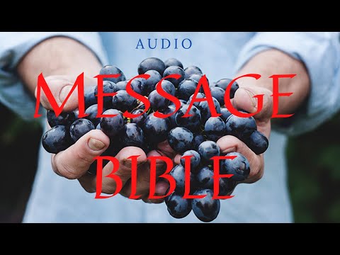 Psalms 16 - 19 Message Bible | Audio version
