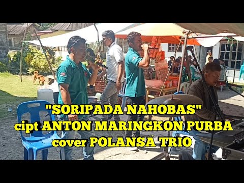 "SORIPADA NAHOBAS" cipt ANTON MARINGKON PURBA cover POLANSA TRIO ‼️‼️