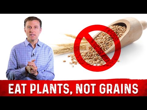 1 Top Food to Burn your Belly Fat – Dr Berg on Fat Burning Foods